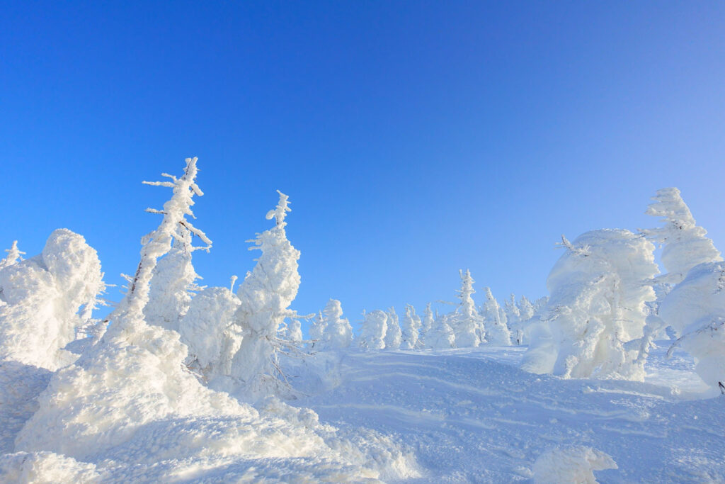 Monstros do Gelo, árvores congeladas em Zao Onsen, Yamagata 