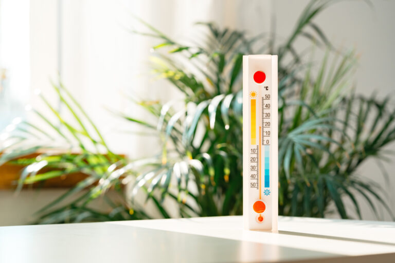 Verão chegou e os insetos também: proteja sua casa no Japão