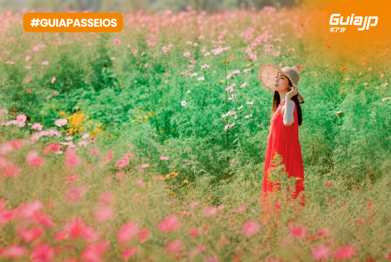 Cosmos Flower Festival 2025 no Parque Memorial Showa: flores, fotos e tranquilidade